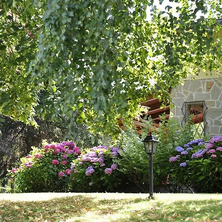 Borgo Country مزرعة للإقامة